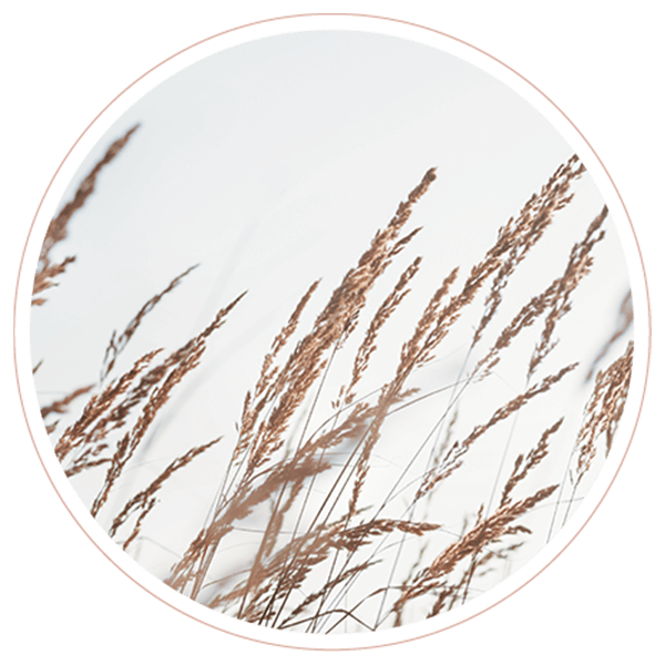 image_02_contact https://kaluwaavril.com/wp-content/uploads/2022/02/image_02_contact.png